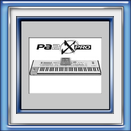 Korg Pa2X Pro