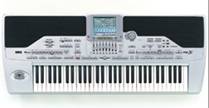 http://www.korg.com/GEAR/images/products/info/info_PA1X.jpg