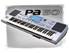 http://www.korgpa.com/pa_root/images/products/Pa50/pa50_icon.jpg