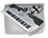 http://www.korgpa.com/pa_root/images/products/Pa1X/pa1x_icon.jpg
