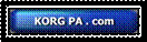 korg pa com